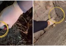 18-летний бишкекчанин торговал через интернет психотропами