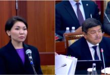 Элвира Сурабалдиева Жапаровдун киреше булагын текшерүүнү сунуш кылды