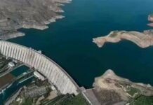 Кемпир-Абадды коргоо комитети Өзбекстандын президенти Шавкат Мирзиеёвге кайрылды