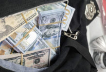 Владелец похищенных в «Домодедово» $4,8 млн раскрыл происхождение денег