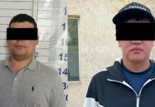 Ири өлчөмдөгү баңгизат менен эки жаран кармалды