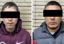 Бишкекте кыз ала качууга шектелип эки жаран кармалды