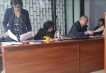 Укук коргоочу Азиза Абдирасулованын иши сотто каралууда