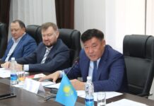 Политическая трансформация в Казахстане. Взгляд из Кыргызстана