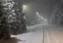 Зимняя сказка: в Ала-Арче ночью выпал снег — ВИДЕО