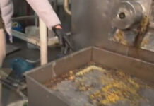 Охранники «Алькони» напали на журналистов проекта «Не сахар». ОсОО оштрафовали за антисанитарию