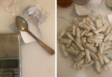 Россияда баңгизат сатууга шектелип эки кыргыз жараны кармалды