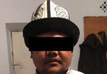 Болот Назаров уурулукка шектелип кармалып, уурдалган жылкы буюм далили катары алынган, – милиция