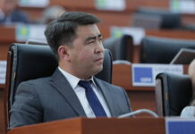 Депутат: Некий иностранец Фани, прикрываясь связями, обещает иностранцам решить вопрос с визами