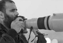 На чемпионате мира по футболу в Катаре умер второй журналист, — СМИ