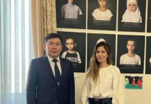 Кадыркулов Украинанын ТИМ башчысынын биринчи орун басары менен жолукту