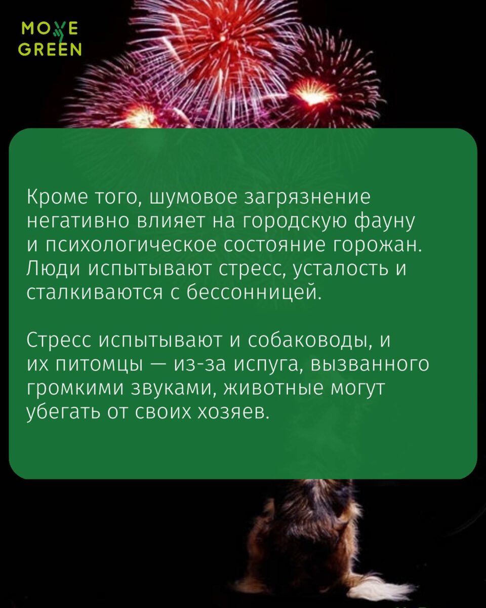 321330547 400669472225014 2120097639328309832 n Активисты требуют отменить новогодний салют в Бишкеке