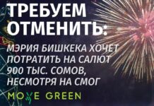 Аянттагы жаңы жылдык салютту токтотуу талабы коюлду