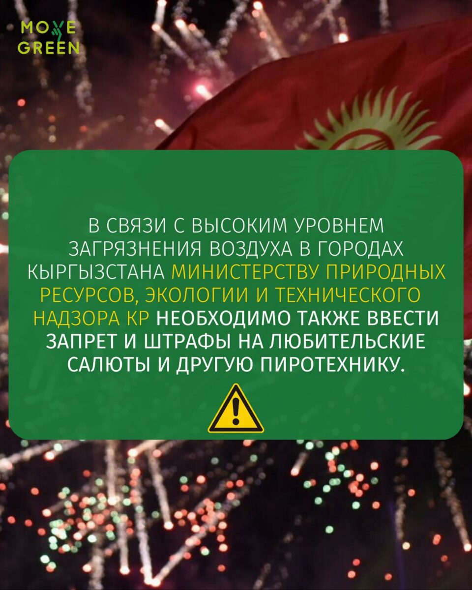 321429538 676653157244199 4588017620058491551 n Активисты требуют отменить новогодний салют в Бишкеке