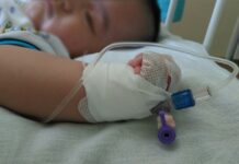 5 жашар бала чочко тумоосунан чарчап калган