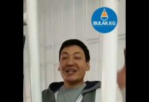 Атай Бейшенбек: Эмне үчүн жыйынга барган Адахан Мадумаров менен Исхак Масалиев жок болуп калды?