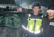 “Качып кеткен”: Айдоочу жөө жүргүнчүнү сүзүп кетип, ал ооруканада каза болду