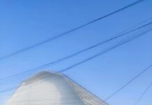 Бекжан Темирхандын ата-энеси Бишкектен үйлүү болушту