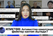 «Бузукуларды камагыла». Активисттер камалганда фейктер кантип иштеди?