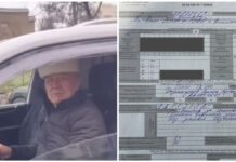 Патрульные оштрафовали Арстана Алая — видео