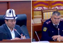 Депутат начальнику ГУОБДД: Можно ли определить, пил водитель водку или кумыс?