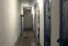 Таалайбек Мадаминов да ачкачылык жарыялады, – кат