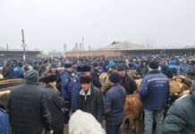 Кызыл-Кыя шаарындагы мал базары текшерилди