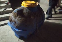 Наркоборцы нашли в селе Ананьево клад с 62 кг марихуаны — видео