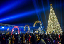 Башкы балатыны жыйноо иштери башталды