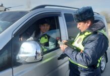 Коомдук транспорттун айдоочулары гендердик зомбулукка каршы