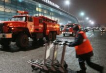 В Домодедово грузчики украли из чемодана кыргызстанки 600 тыс. рублей