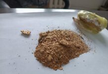 Гражданин Китая пытался вывезти из Кыргызстана золотые самородки на 1 млн сомов