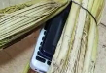 Абакка 4 телефонду шыпыргыга салып киргизүүгө аракет кылган аял кармалды