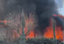 Villa V Club ресторанында чыккан өрт чектөөгө алынды