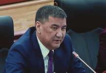 Эл өкүлү ИИМге: Жөө өтмөк бар жерге коюлган жарык башка нерсе