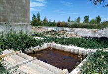 Өлкөдө 25 мал союучу жай убактылуу жабылды