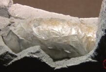 Из Бишкека в Россию переправляли героин, спрятав в плитке Сары-Таш