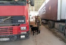 На кыргызско-казахской границе скопление транспорта. В Погранслужбе назвали причины