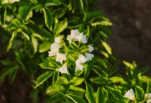 Период распада и новая жизнь мусора