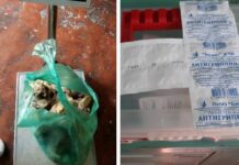 Реабилитациялык борбордо мыйзам бузуулар аныкталды