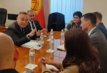 Таалатбек Масадыков встретился со Спецпредставителем ЕС по Афганистану