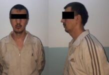 Сириядагы согушка катышып жүргөн жаран кармалды