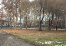 Сузакта 166 млн сомго бааланган жер мамлекетке кайтарылды