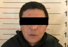 Бишкекте кыз ала качууга аракет кылгандардын бири колго түштү