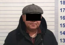 Алдамчылыкка шектелип 51 жаштагы жаран кармалды