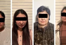 Караколдо саунада сойкукана уюштурган аял кармалды