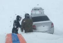 Казакстанда аба ырайы кескин начарлап, автожолдордун 61 тилкеси жабылды