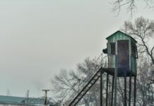 Депутат предлагает на месте колонии №47 построить парк, а не микрорайон