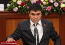 Депутат предлагает закрыть сайты, которые опубликовали видео избиения члена ОПГ