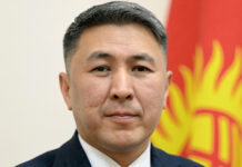 Президенттин администрациясынын Кырдаалдык борборунун директору дайындалды